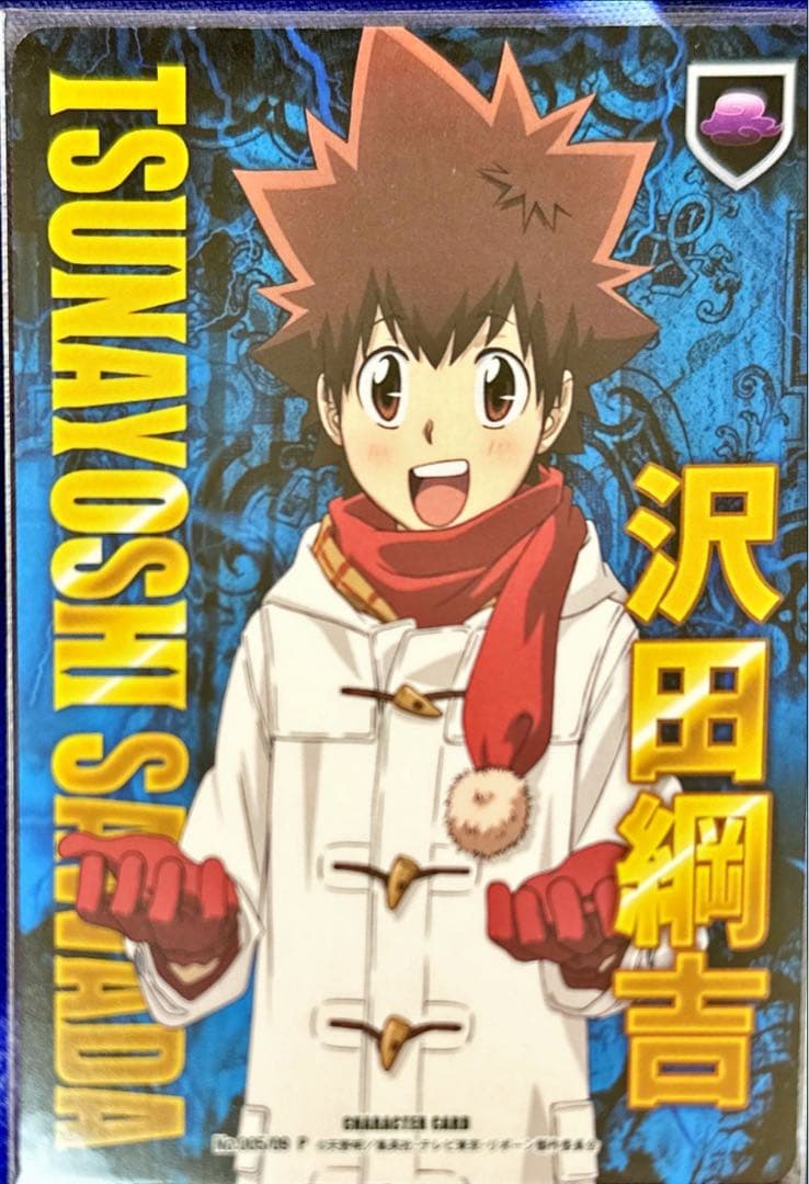 沢田綱吉 CCG PRカード 冬 ツナ