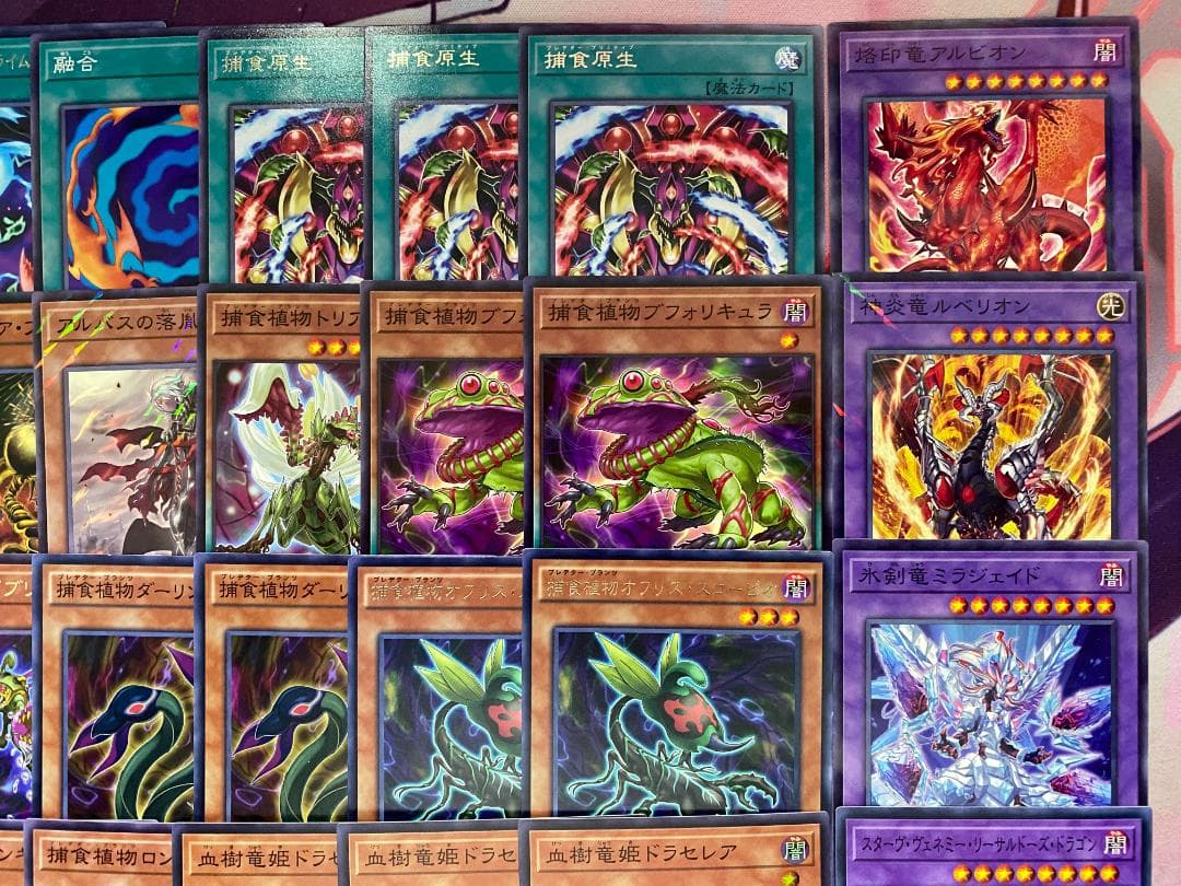 002　遊戯王　烙印捕食植物　プレデタープランツ　本格構築済みデッキ　ドラセレア