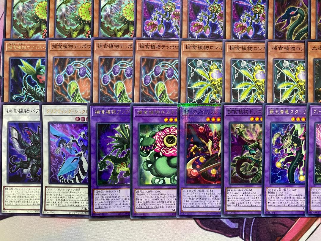 002　遊戯王　烙印捕食植物　プレデタープランツ　本格構築済みデッキ　ドラセレア