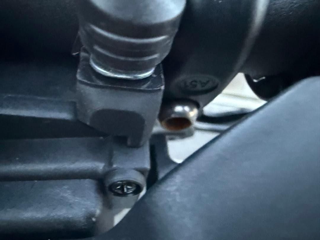 キャノンデール Badboy2 Lサイズ