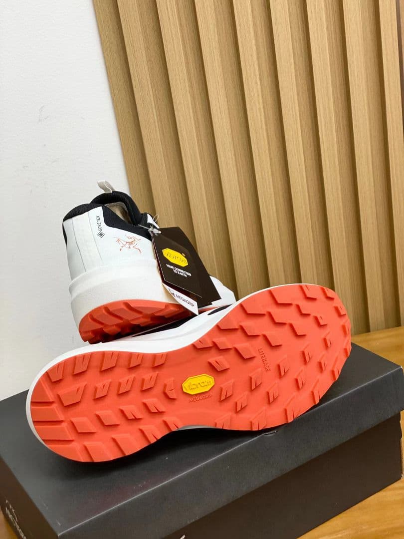 ARC'TERYX  アークテリクストレッキング シューズ