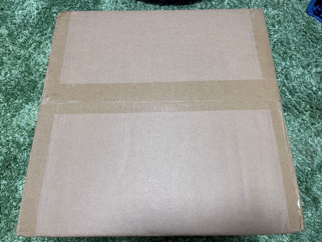 少年リック 限定 ギガンティック デフォリアル ゴジラ （2016）覚醒Ver