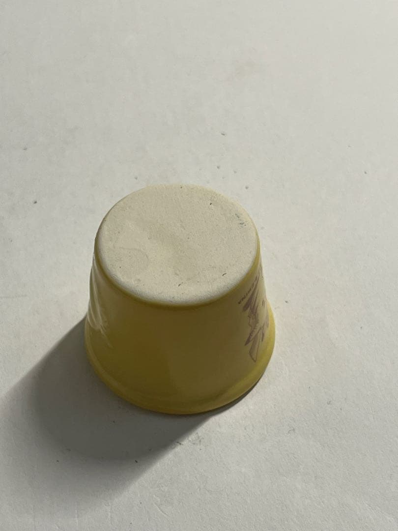 ポケモン　ポケットガーデン　ピカチュウ 陶器 植木鉢