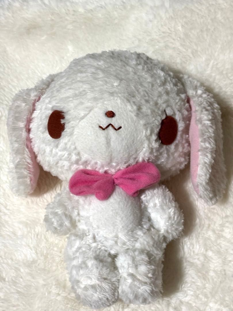 シュガーバニーズ　しろうさ