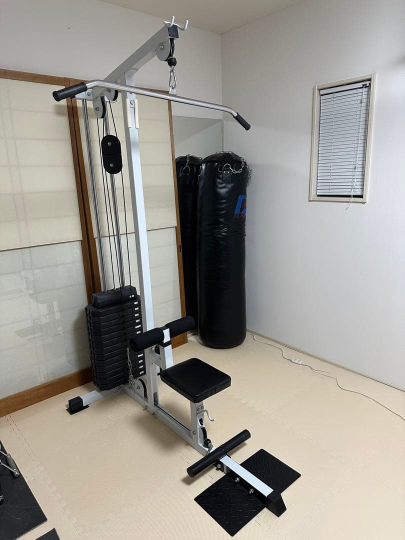 ワイルドフィット　WILD FIT 200ラットプルマシン　ウエイトプレート付