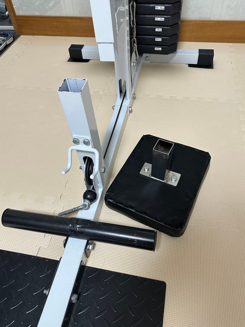 ワイルドフィット　WILD FIT 200ラットプルマシン　ウエイトプレート付