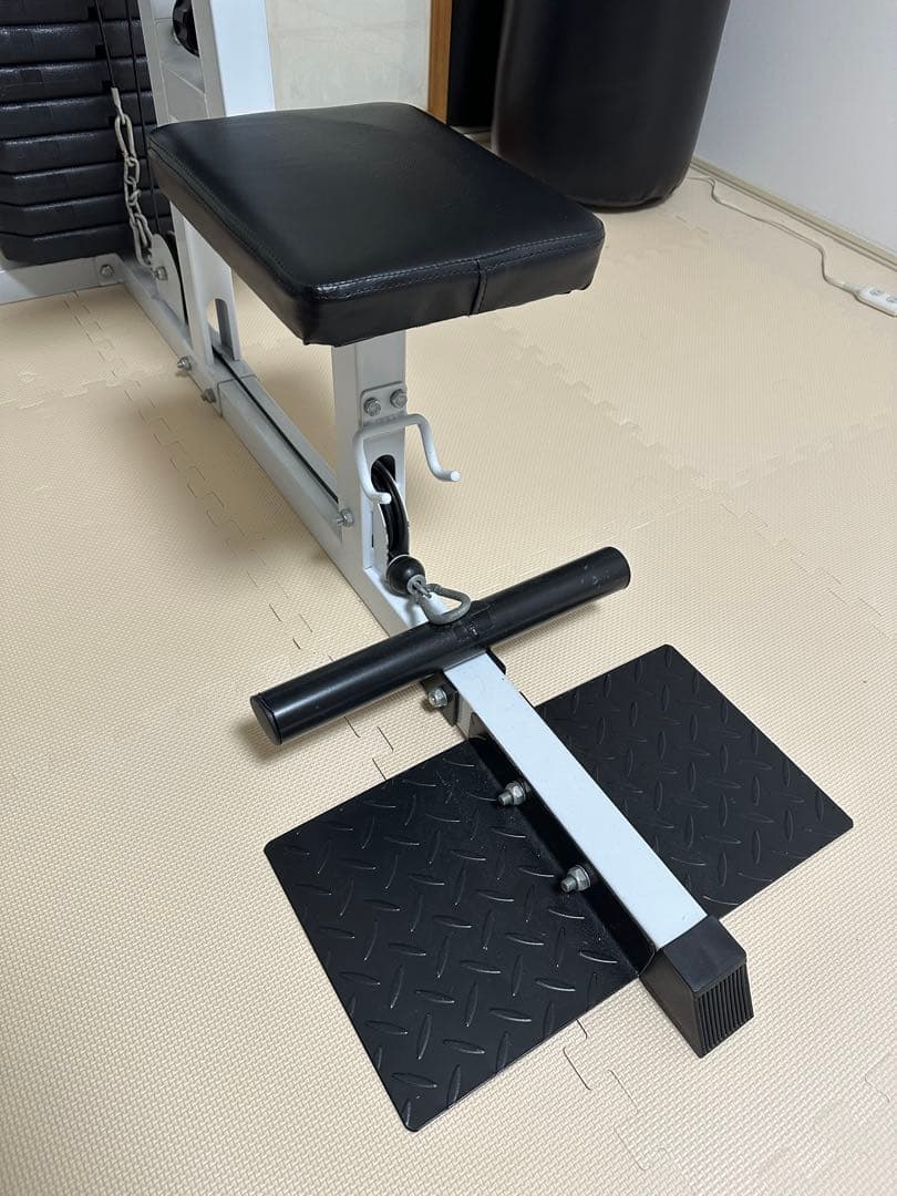 ワイルドフィット　WILD FIT 200ラットプルマシン　ウエイトプレート付