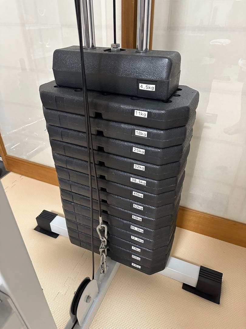 ワイルドフィット　WILD FIT 200ラットプルマシン　ウエイトプレート付