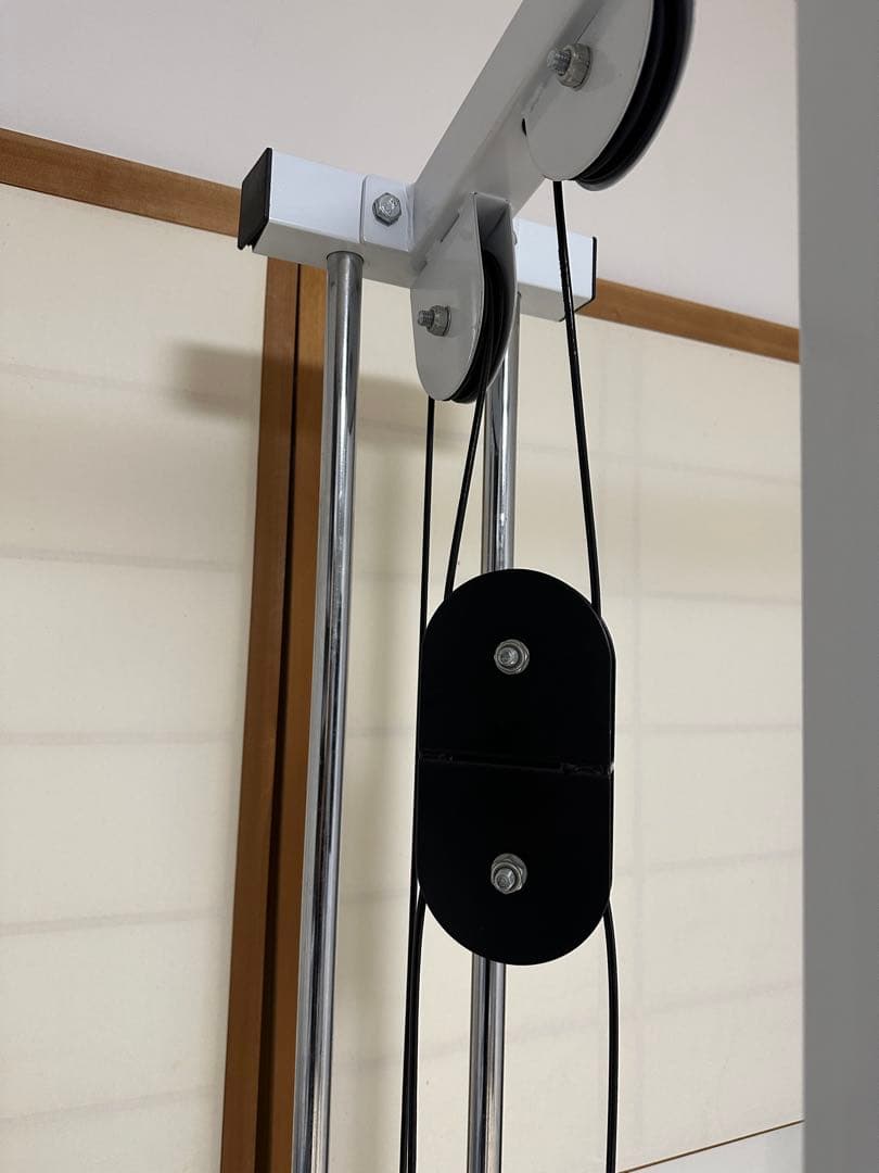 ワイルドフィット　WILD FIT 200ラットプルマシン　ウエイトプレート付