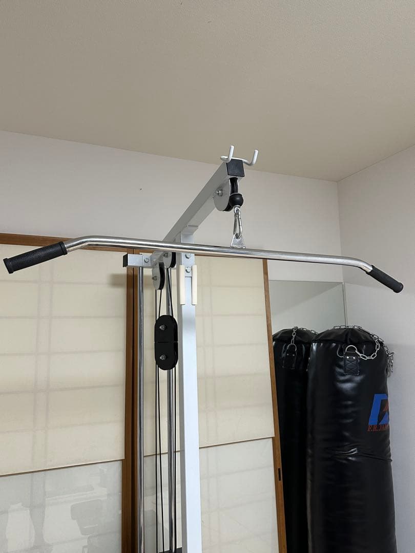 ワイルドフィット　WILD FIT 200ラットプルマシン　ウエイトプレート付