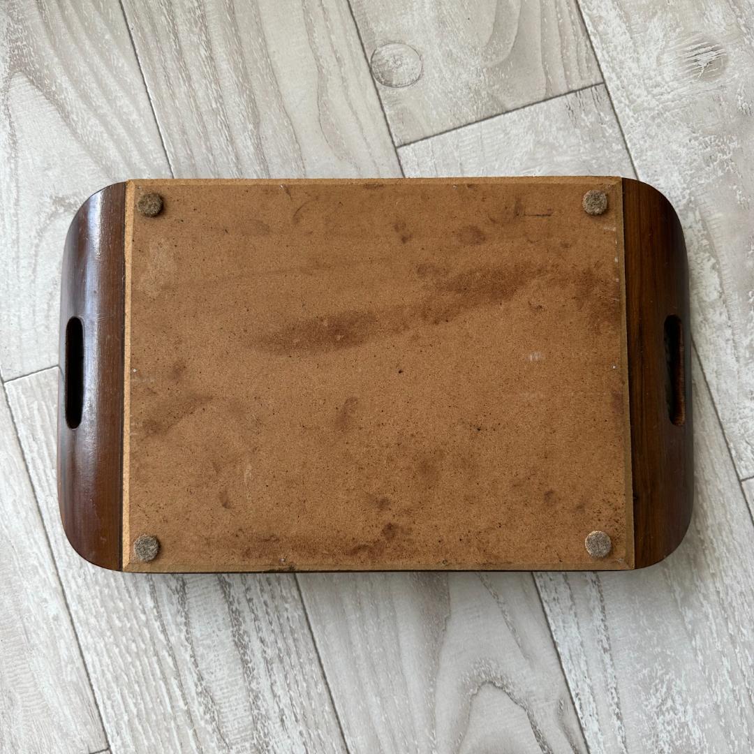 南米ブラジル モルフォ蝶 アート アンティーク インテリア 入手困難 一点物