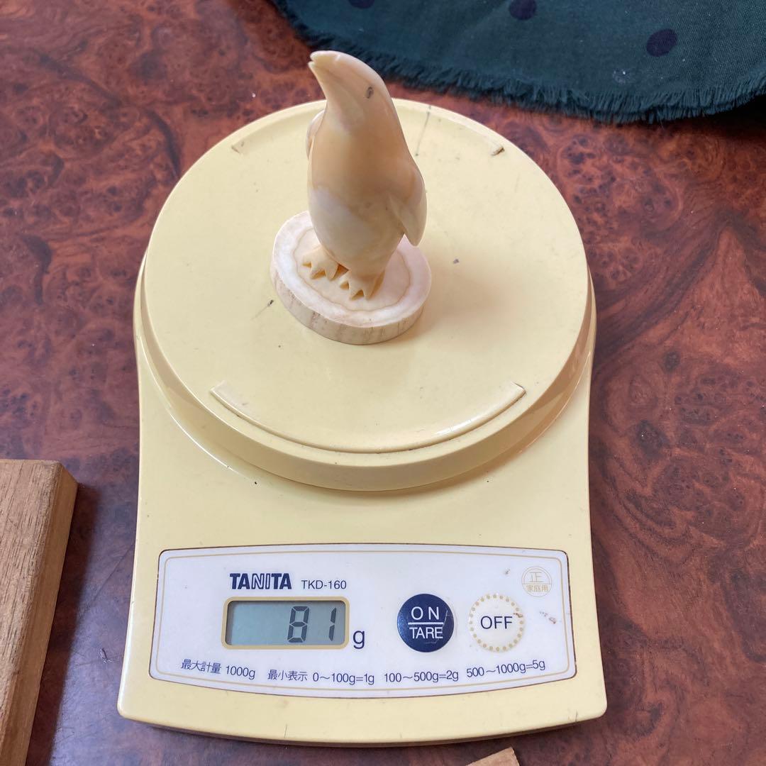 ペンギン　マッコウクジラ　歯　クジラの歯　抹香　鯨　(81g)専用箱付き