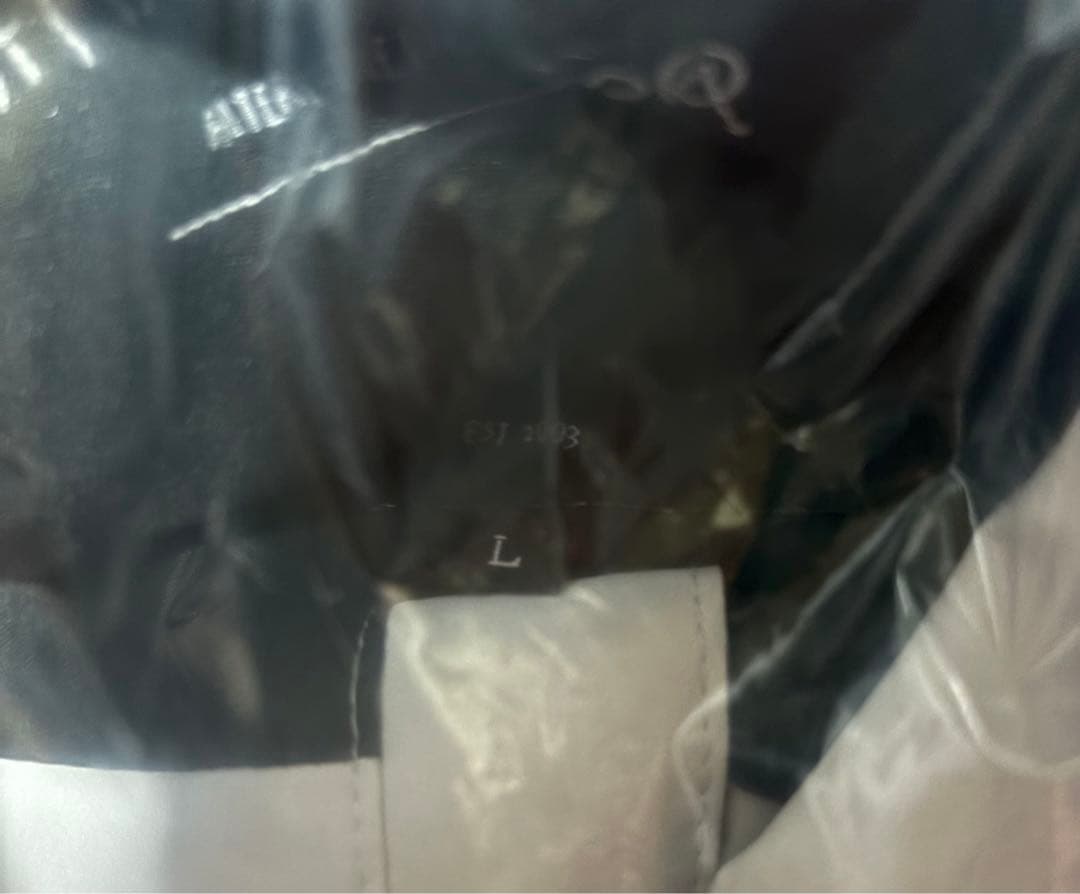 AA(ダブルエー)×サンタクルーズ　スノーアノラック(タグ付き)