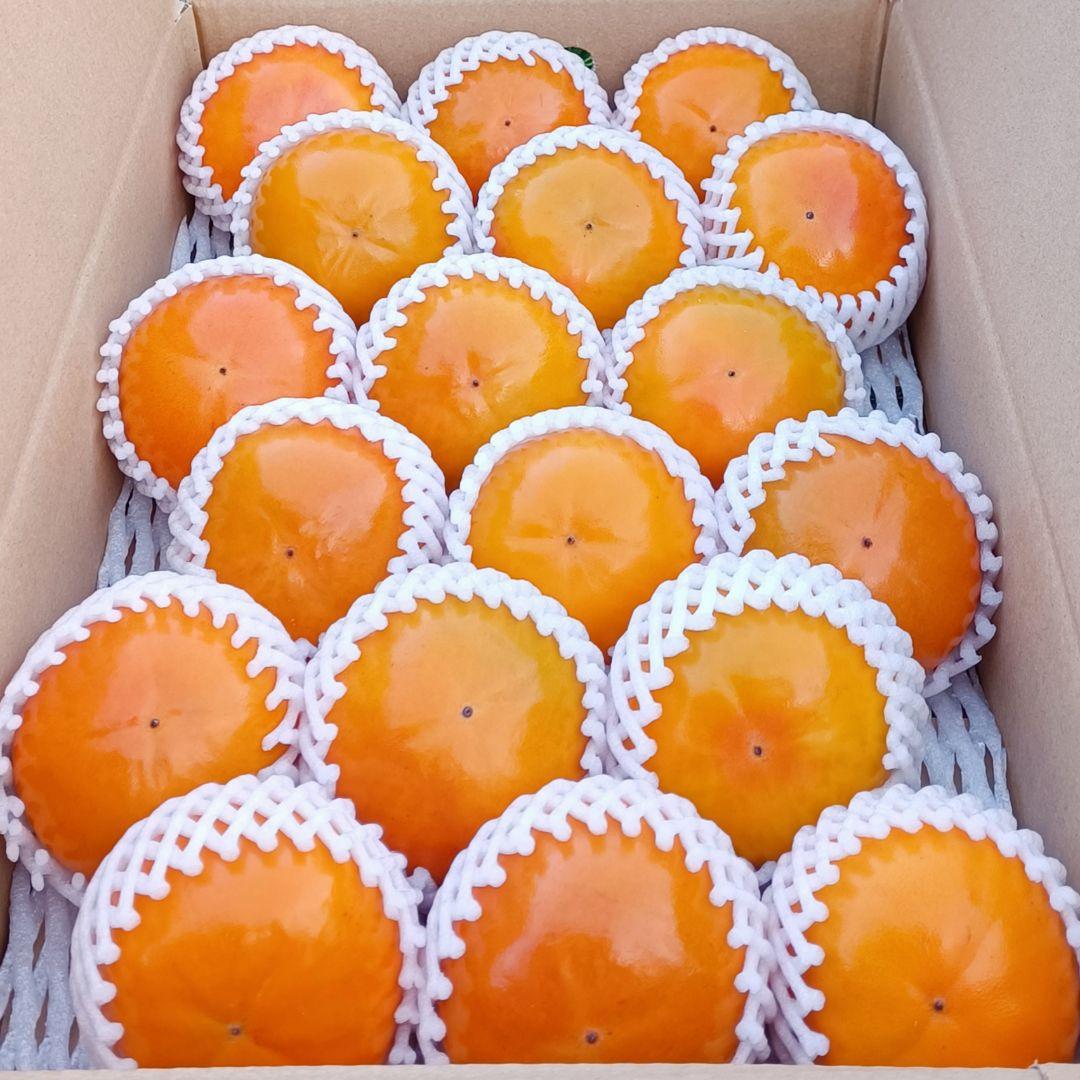 【高級甘柿】福岡県産ブランド 富有柿 4.5kg×3