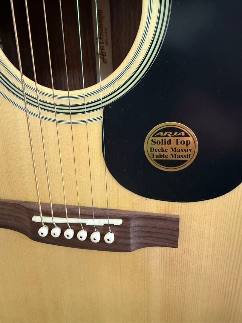 Aria Dreadnought アコースティックギター