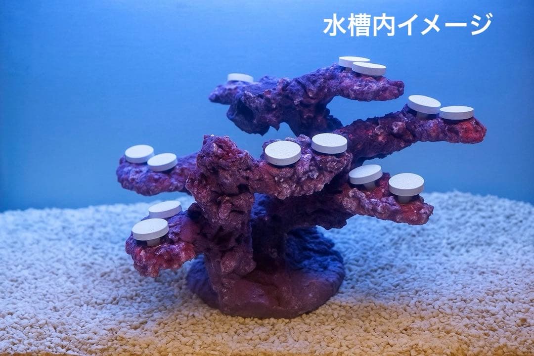 【送料無料】人工ライブロック　PHR16／14穴加工　アク抜き済み安心塗料使用