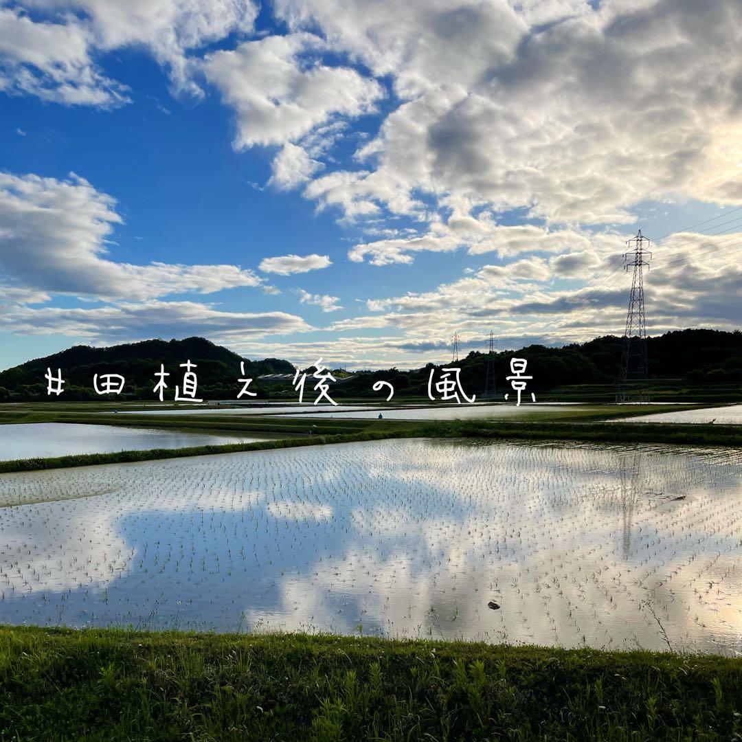 新米★ 山の湧き水で育てた農家のお米 兵庫県産キヌヒカリ 20kg(10kg×2