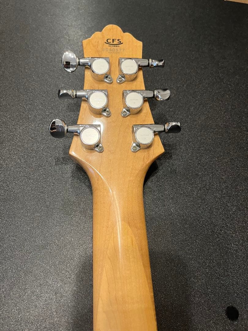 HISTORY ZGF-CFS ＆ ZOOM G3X マルチエフェクター