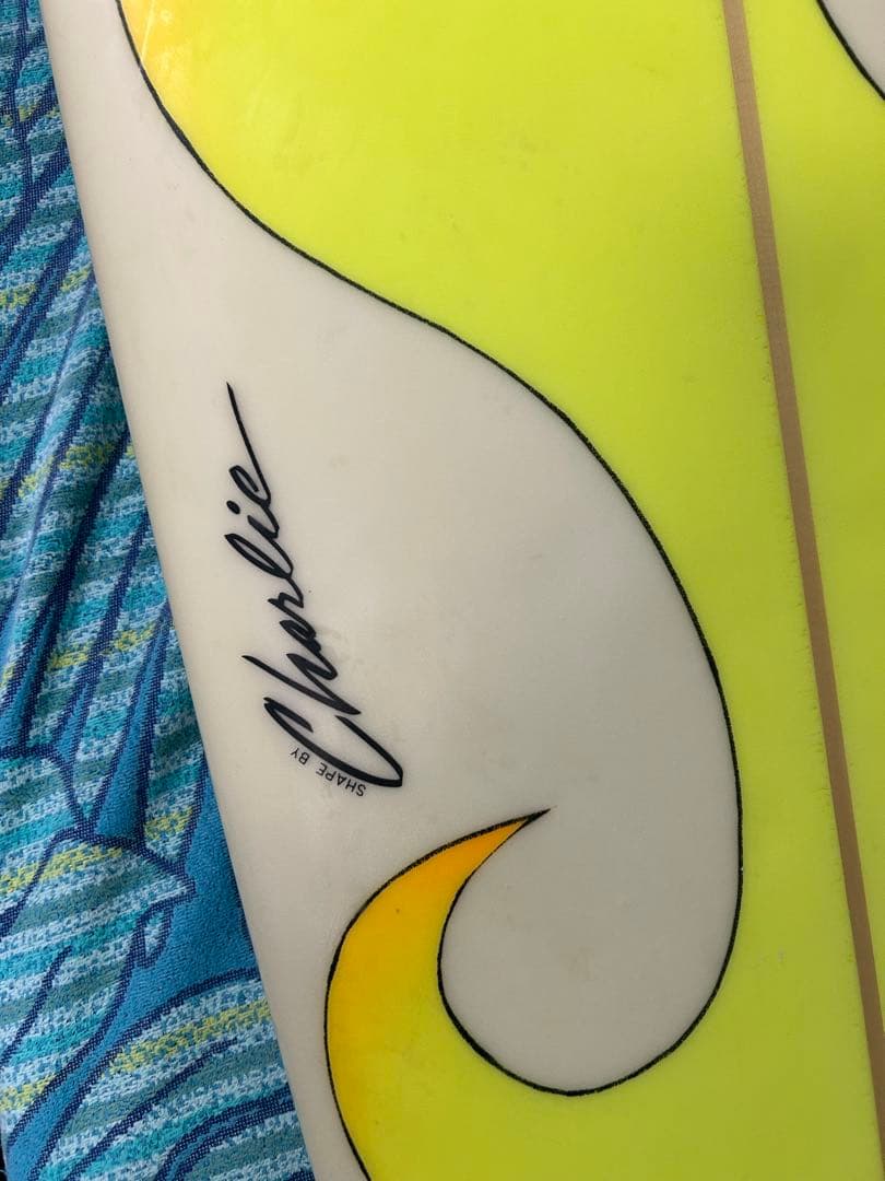 C*O様 【美品】Local Motion ローカルモーション ロングボード 9