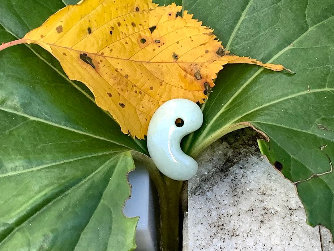 ✳神様からの授かり　糸魚川翡翠勾玉　１個お身近に　レア物アイスジェイド　鑑別書付