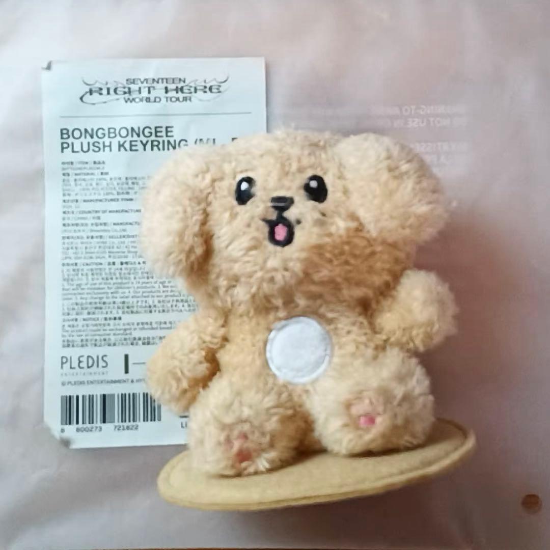 ミニティーン　ドア　キーリング　SEVENTEEN ドギョム