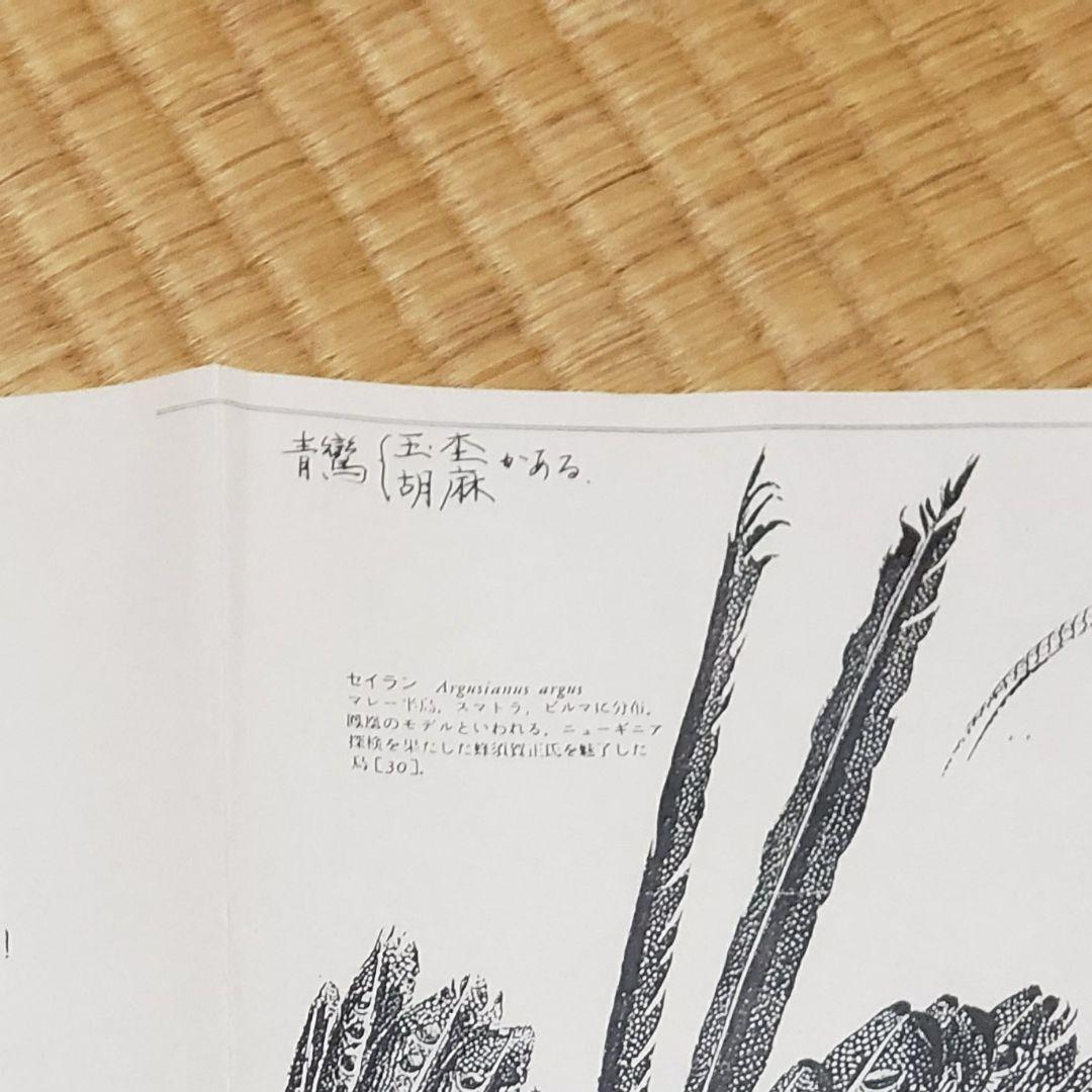 茶道具 炉用 青鸞 セイラン せいらん (胡麻) 羽箒 仕立師 杉本鳳堂