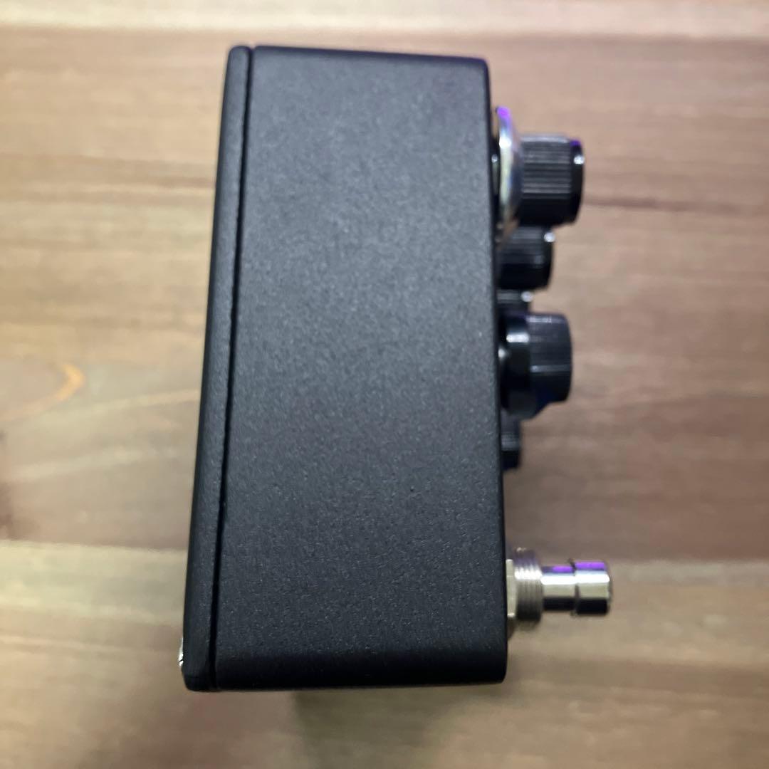 browne amplification PROTEIN クローン