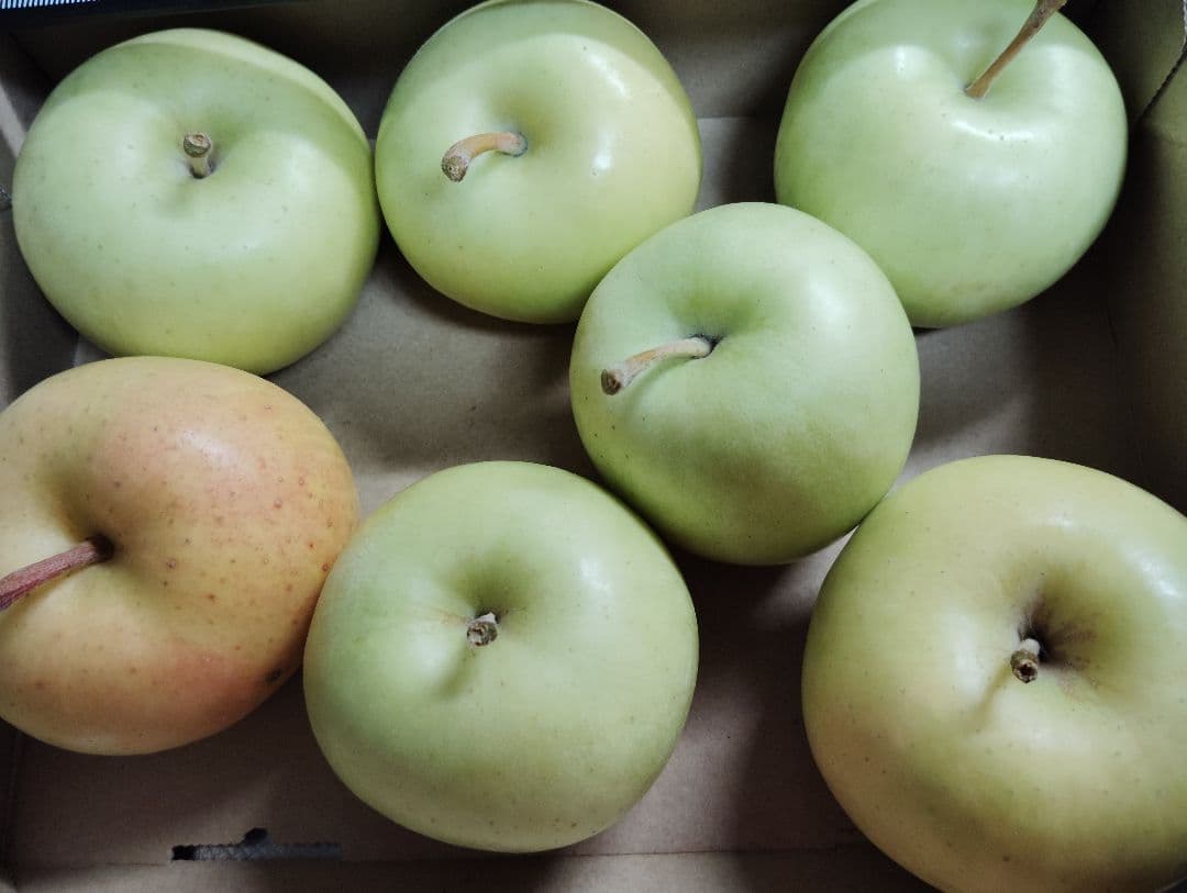 農薬不使用　４種リンゴ　10キロ位と完熟プルーン1.7キロ サンプルーン400g