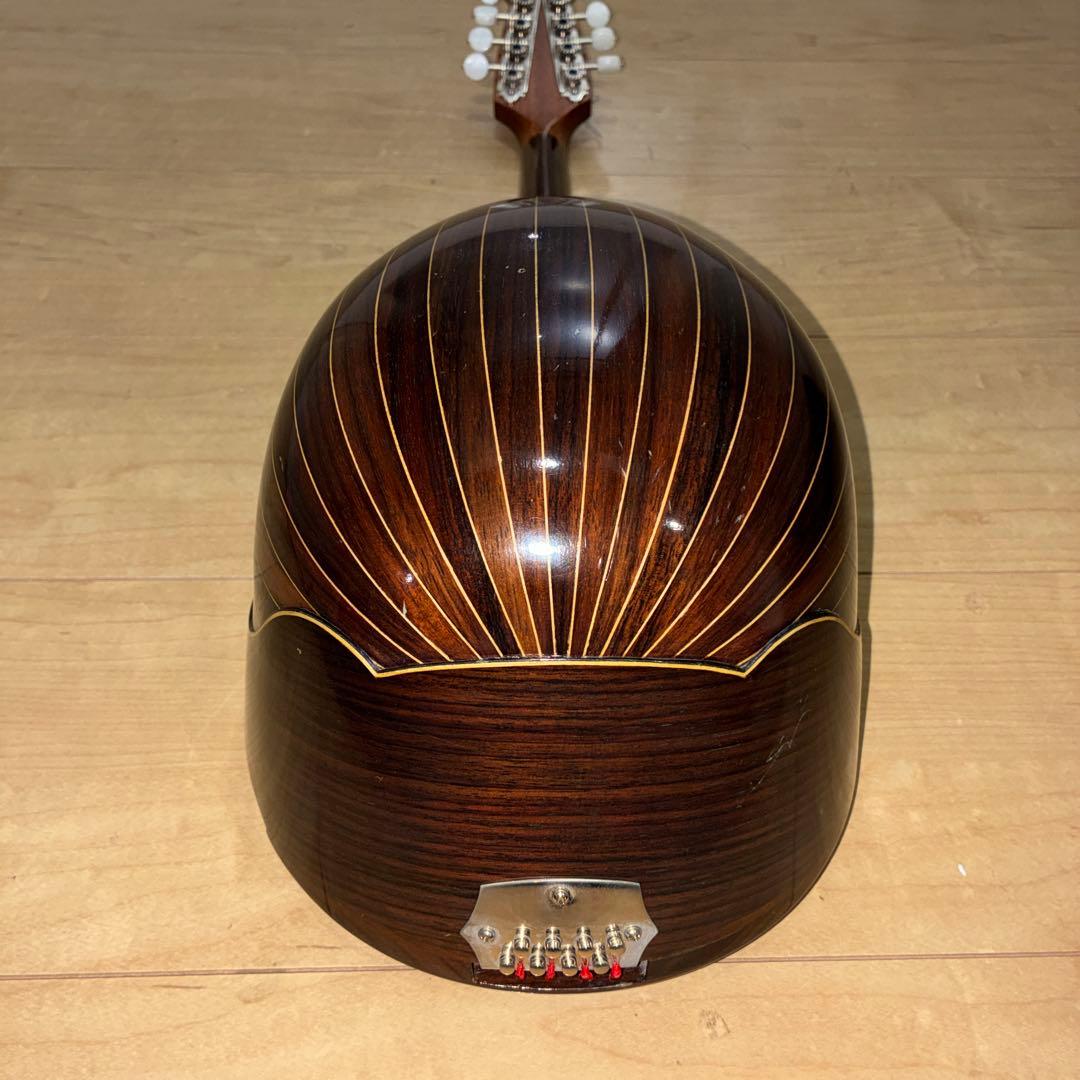 TSUNEO FUJIMARU MODEL ikegaku ANNO マンドリン