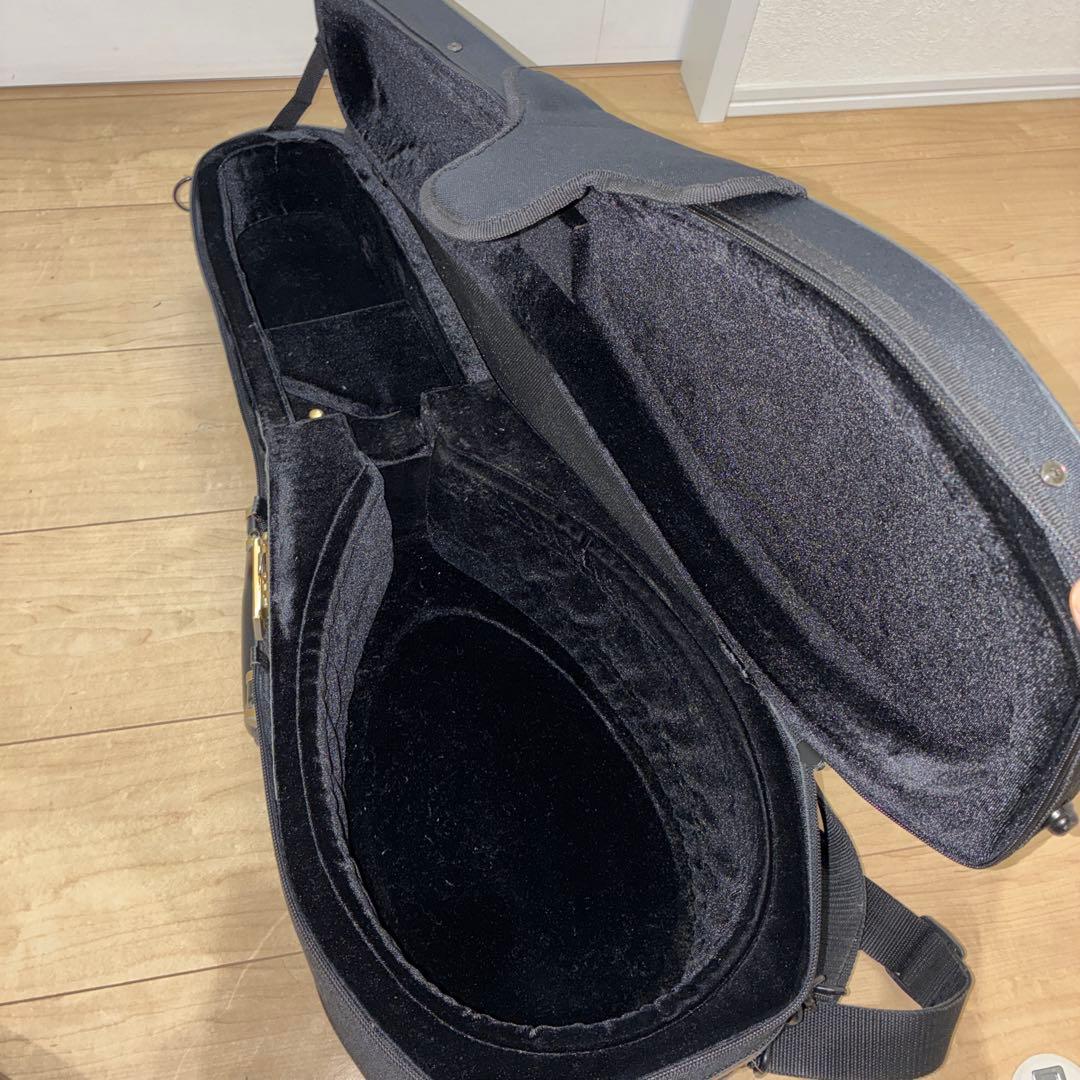 TSUNEO FUJIMARU MODEL ikegaku ANNO マンドリン