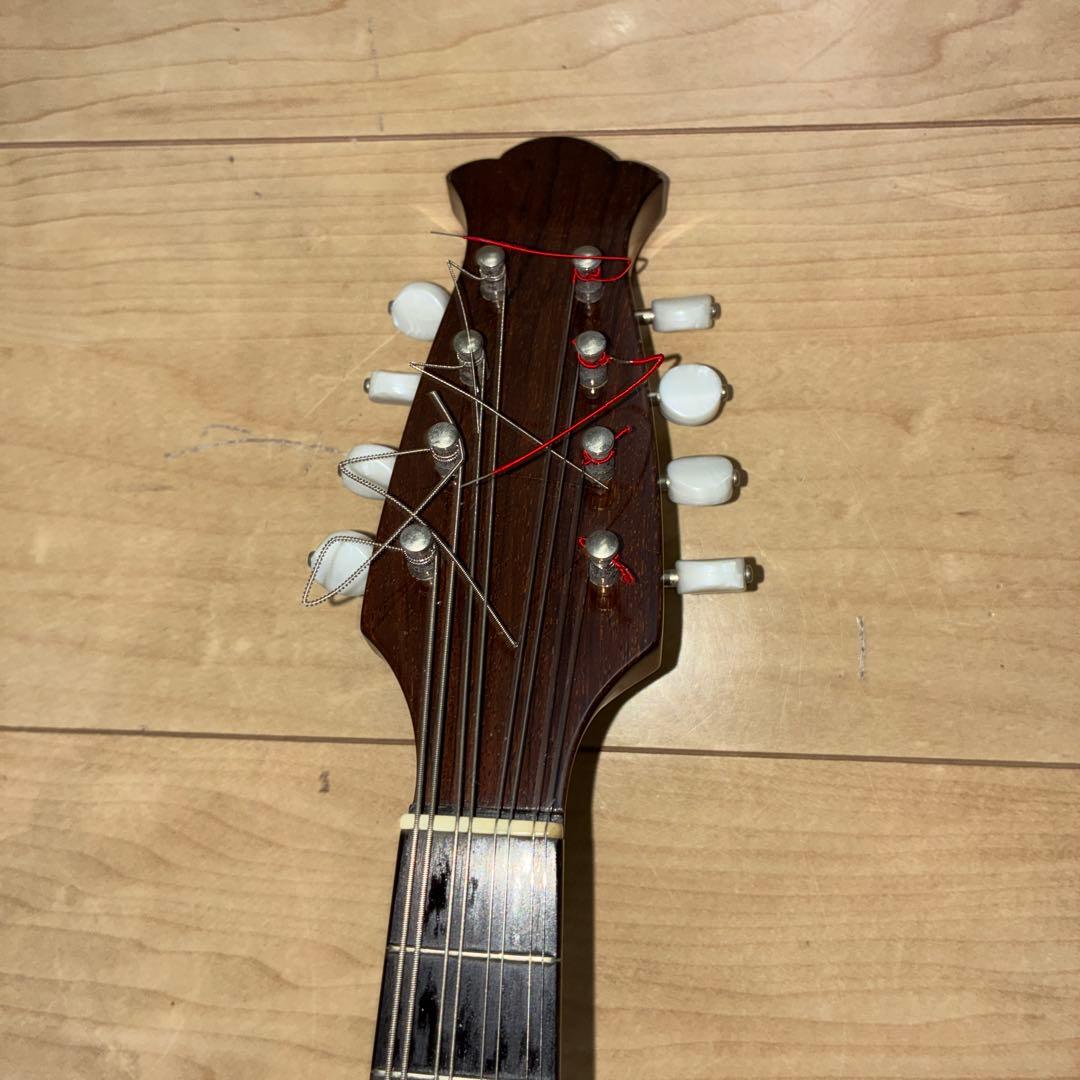 TSUNEO FUJIMARU MODEL ikegaku ANNO マンドリン