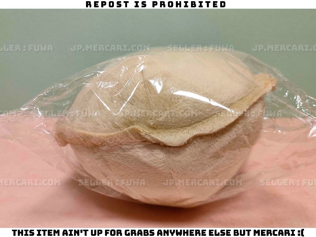 【未開封】須坂紫那 溺愛なんてみとめません！ S賞 藤堂 直斗 ぬいぐるみ BL