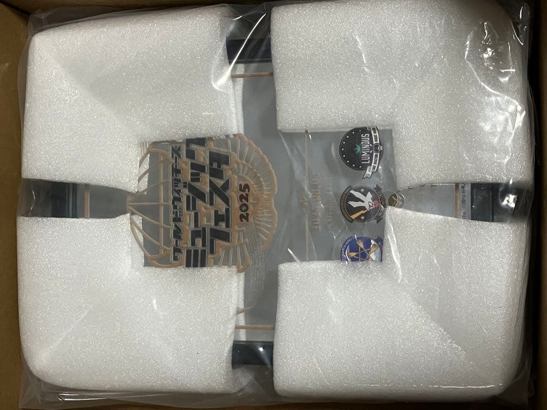 ワールドウィッチーズ　ミュージックフェスタ2025 夜の部　有償特典