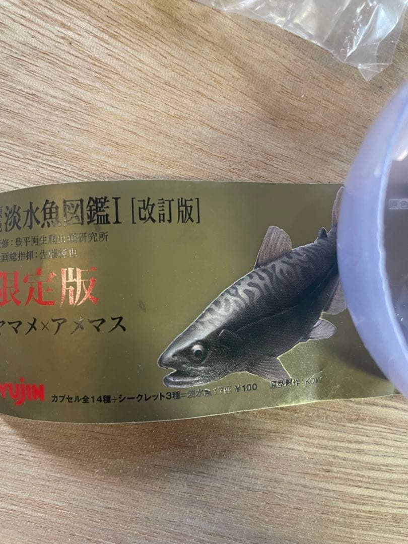 原色淡水魚図鑑I 限定版　ヤマメ×アメマス
