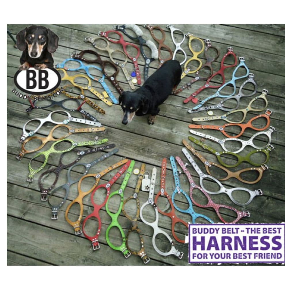 875☆ＢＢベルト バディーベルト 4.5号 キャラメル カスタマイズ