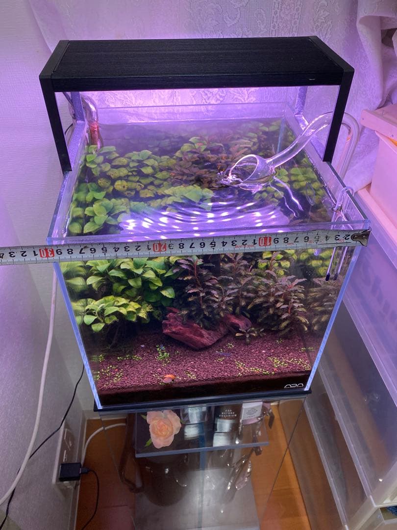 WRGB II SLIM RGB照明 チヒロス　ライト