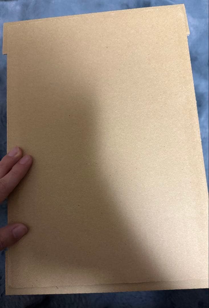 モンスターハンター　クリエイターズモデル　奇怪竜　フルフル