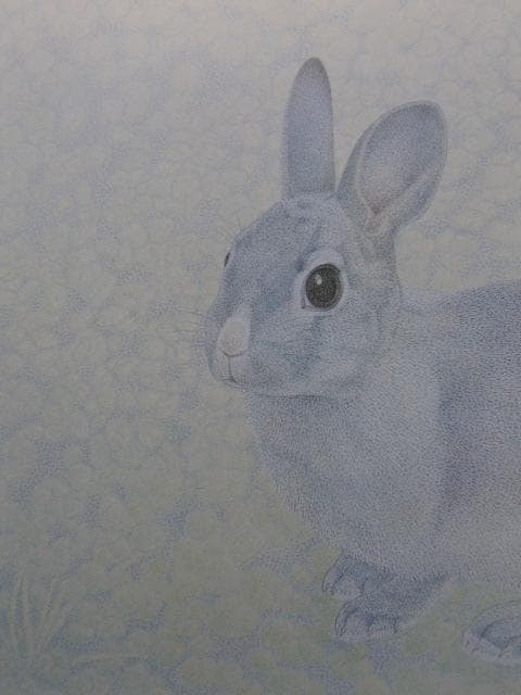 田中隆、【仔兎】、希少な額装用画集より、新品額装付、状態良好