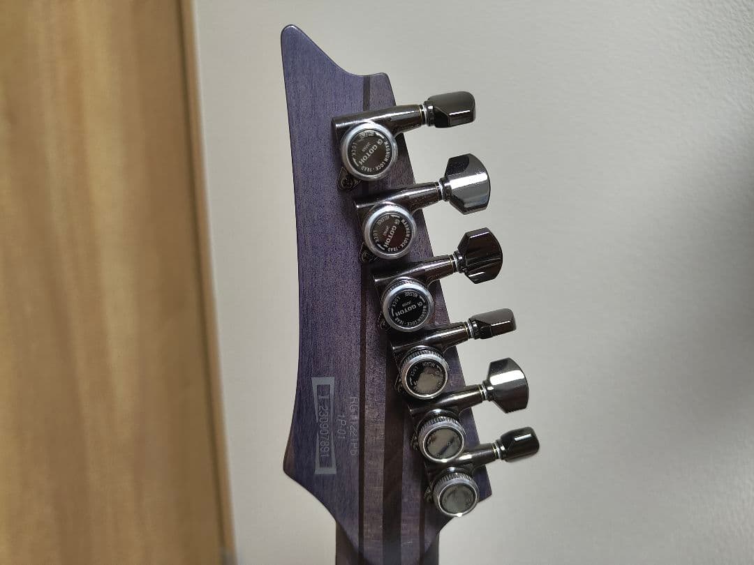 Ibanez エレキギター RGT1221PB