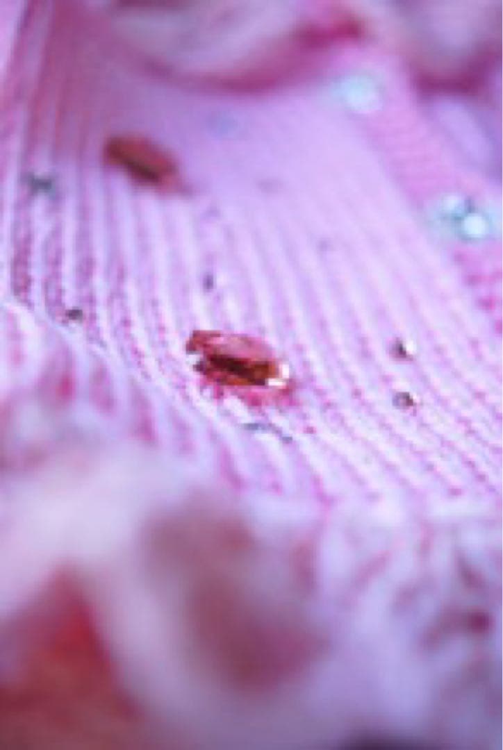 【半額以下】　itdogsピンクのジルコン付きニット犬服