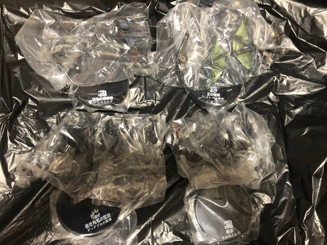 モンスターハンター　ポータブル　2ndG 超造形魂