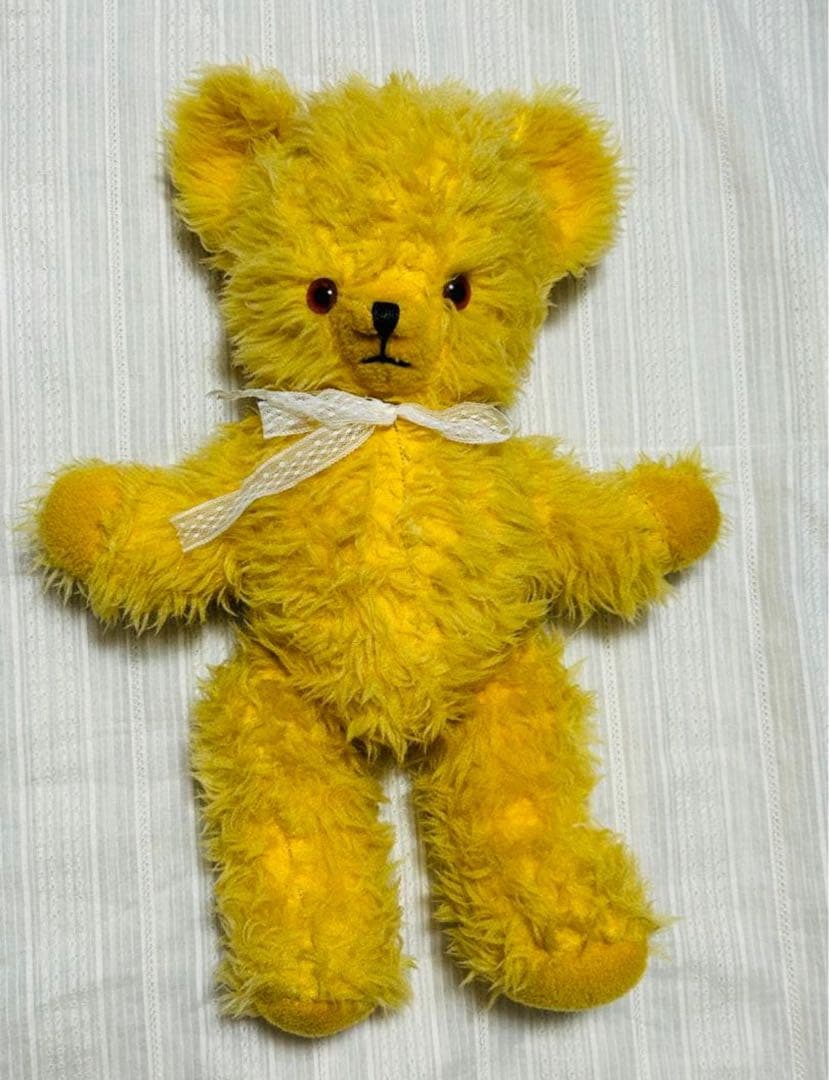 レア　ペディグリー ベア　pedigree 1960年代　タグ付き　ヴンテージ