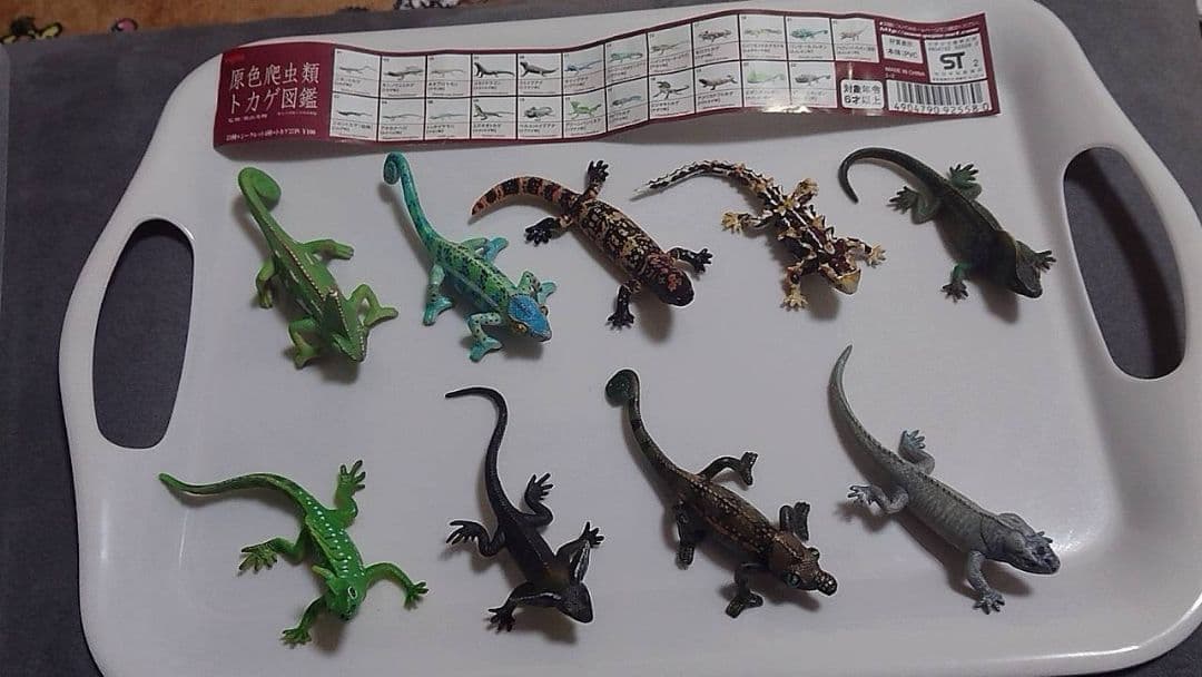 原色爬虫類トカゲ 図鑑　24体セット