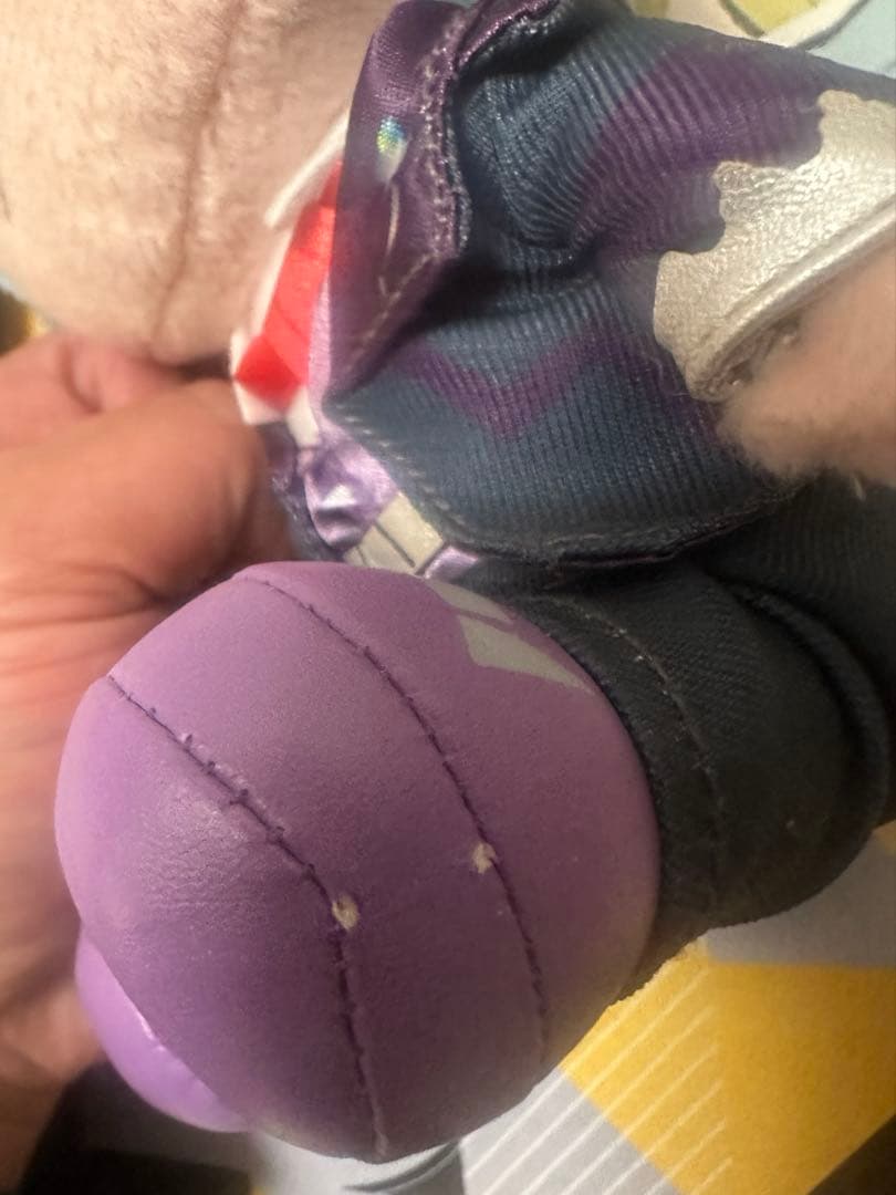 【タグ付き】【ポケモン】 シロナ ダイゴ ぬいぐるみ2体セット