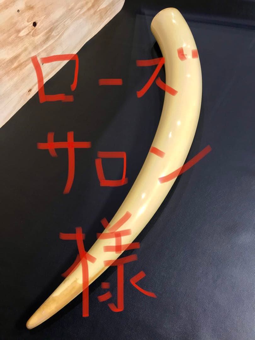 象牙風置物 レプリカ 練り物　オブジェ 一本牙 全長100cm
