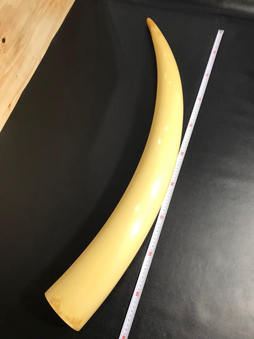 象牙風置物 レプリカ 練り物　オブジェ 一本牙 全長100cm