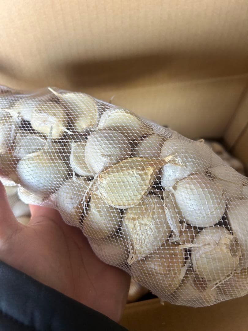 【大特価】青森県産 にんにく L.2Lバラ5kg 福地ホワイト 免疫力up