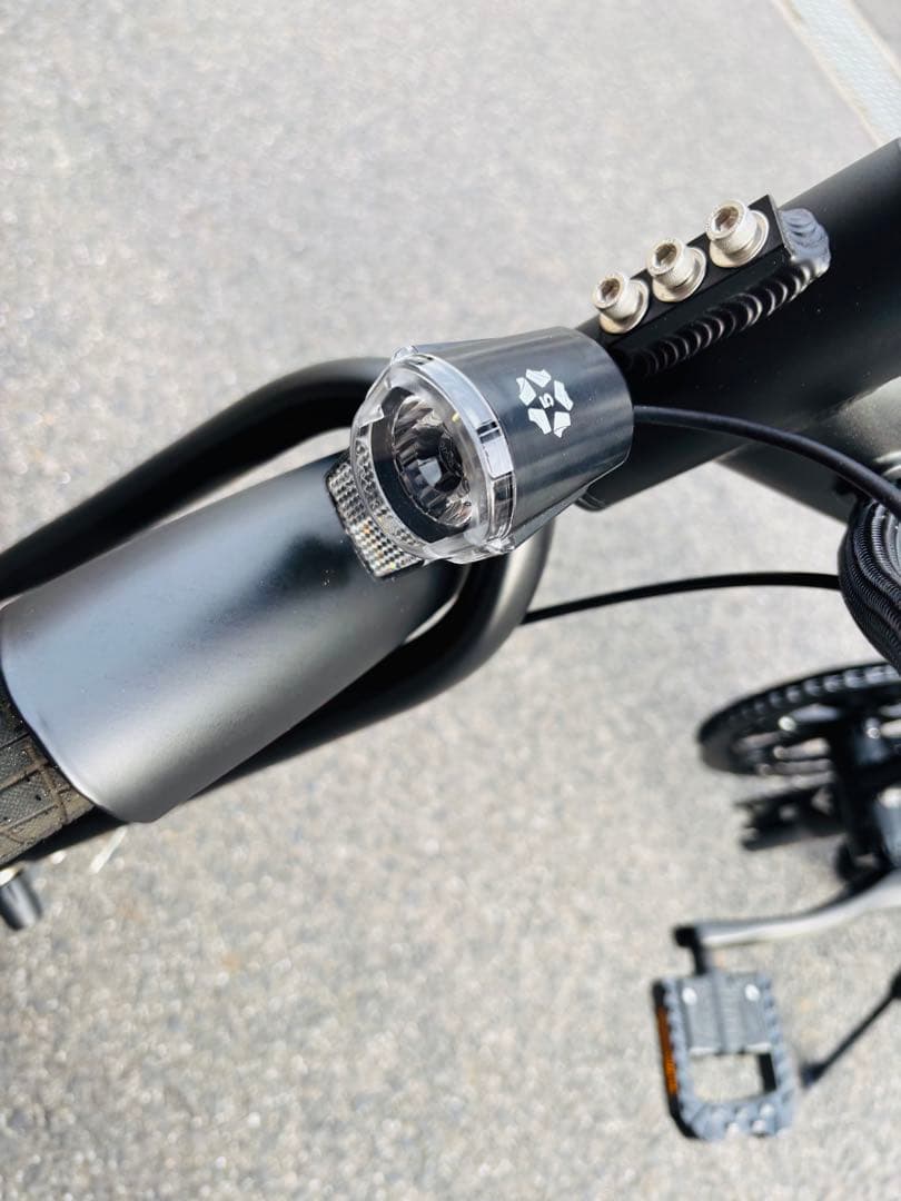 ERWAY 電動折りたたみ自転車 ブラック