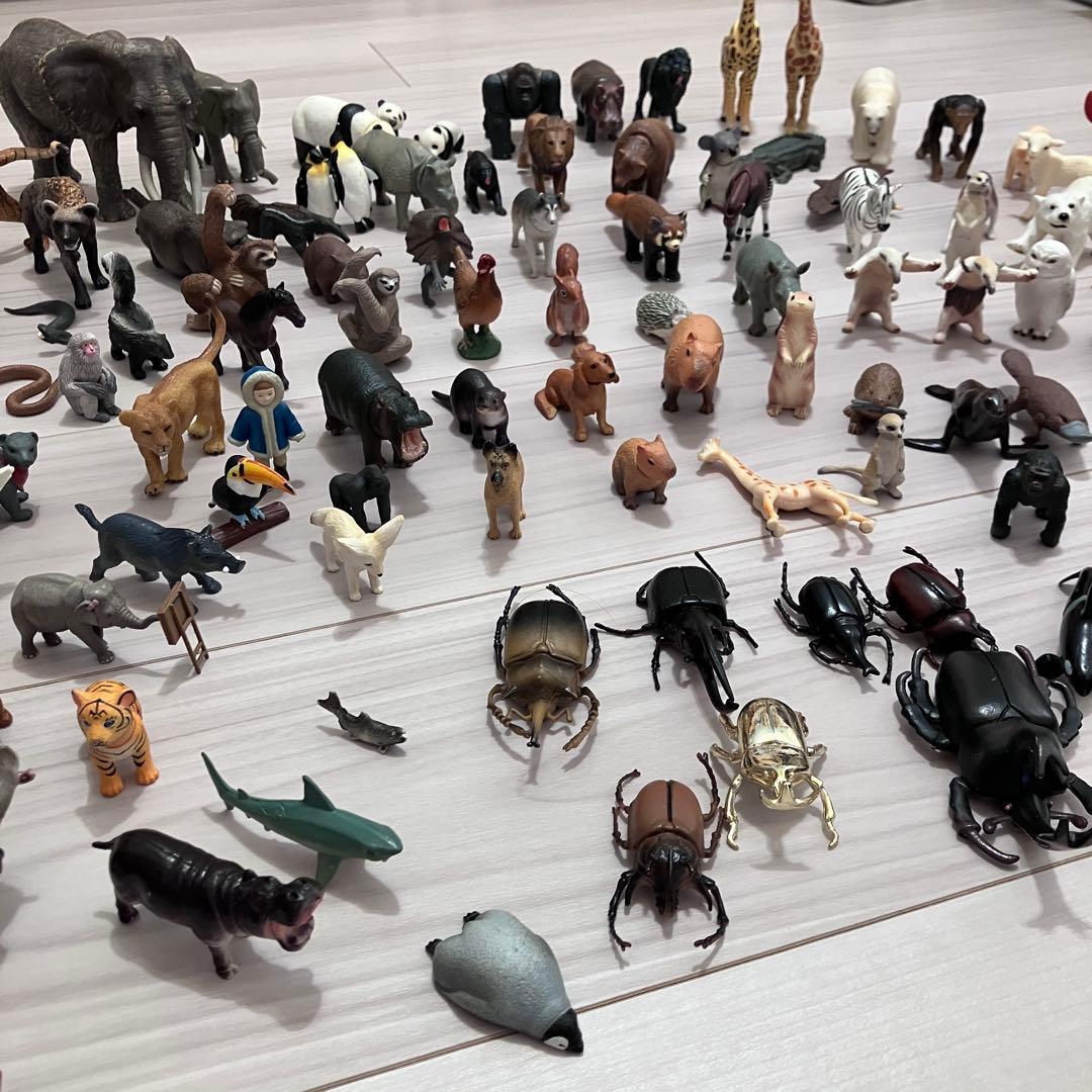 アニア　シャライヒ　アニマル　動物　海の生き物　昆虫　フィギュア　セット