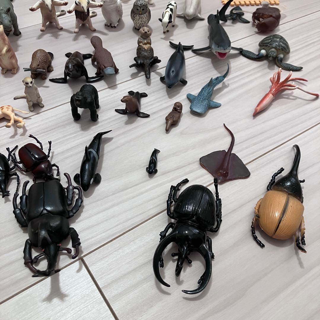 アニア　シャライヒ　アニマル　動物　海の生き物　昆虫　フィギュア　セット